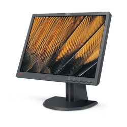 T19HEIT THV MONITOR L192P 19 HYBRID